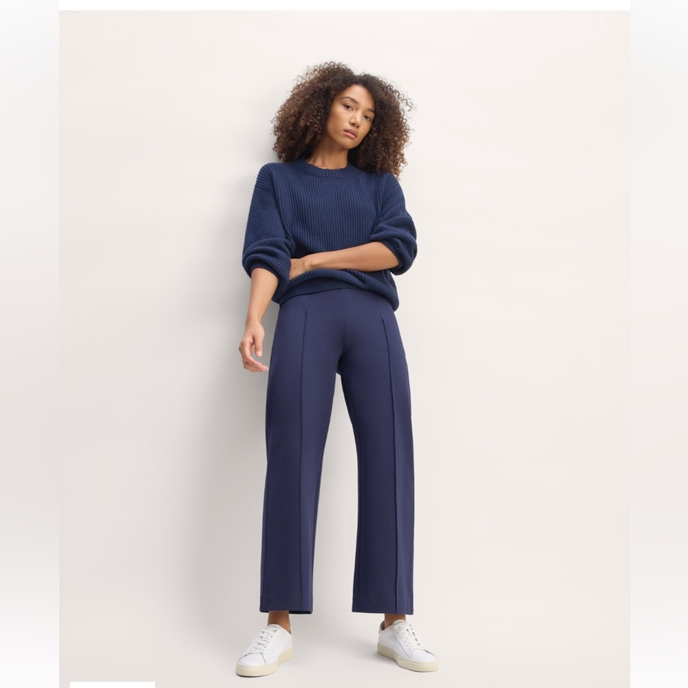 Everlane NWT The Dream Pleated Trouser Size 2